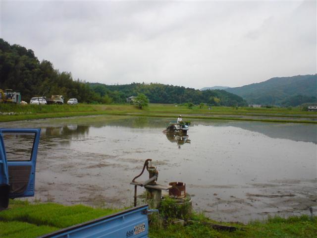 トラタン村とは