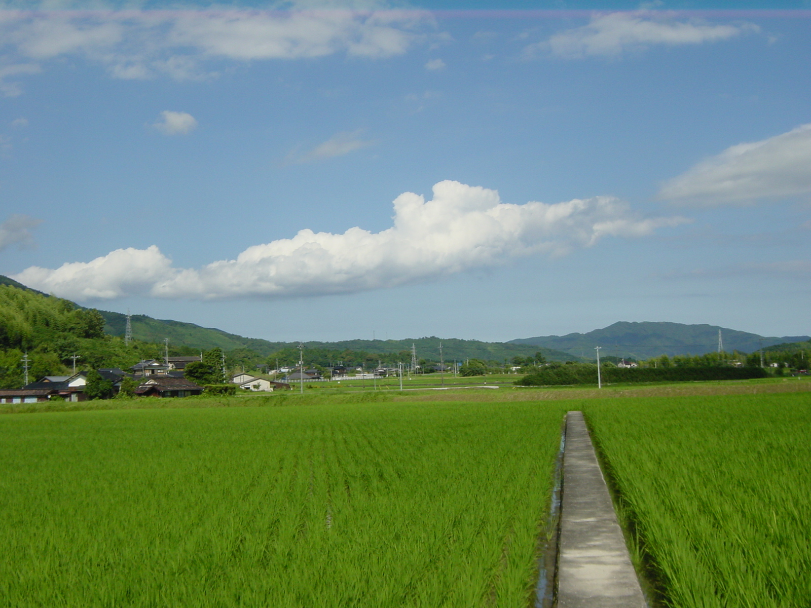 トラタン村とは